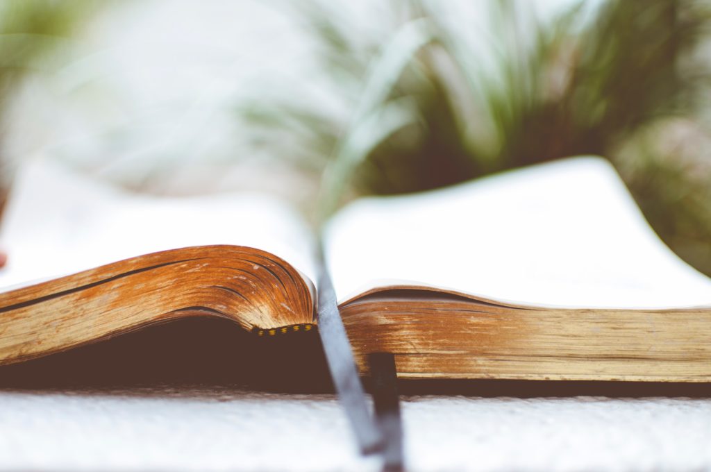 Bible Open to Reading