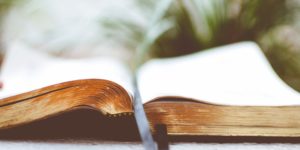Bible Open to Reading