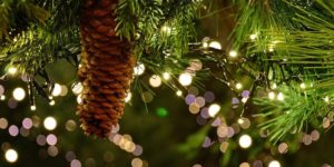 Christmas Garland - Hanging of the Greens