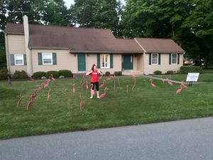 Flamingos bring smiles during quarantine.